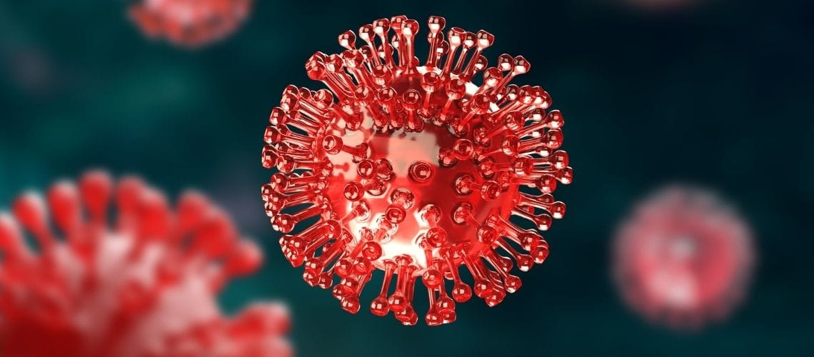 COVID-19 Pandemisi ile İşitme Kaybı ve Vertigo Arasında Bir İlişki Var Mı? COVID-19 Pandemisi ile İşitme Kaybı ve Vertigo Arasında Bir İlişki Var Mı?