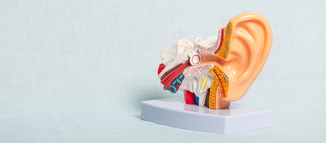 Vestibüler Duyu Sistemi Nedir?