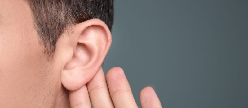 Dış Kulak Nedir? Dış Kulak Nedir?